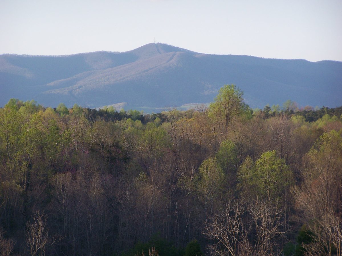 Patrick County, Virginia